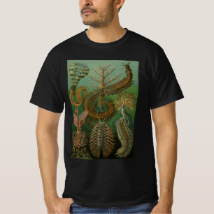 T-shirt Vers Anciens Annélides Chétopodes par Ernst Haecke