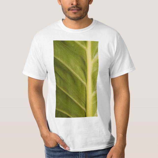 T-shirt Vert 01 (Devant)