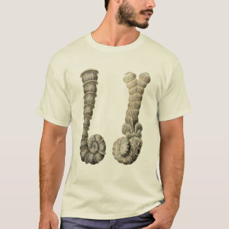 T-shirt Vertebralina