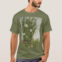 Vêtements de morue