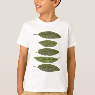 T-shirt VIBIRNUM LA PAIX feuille