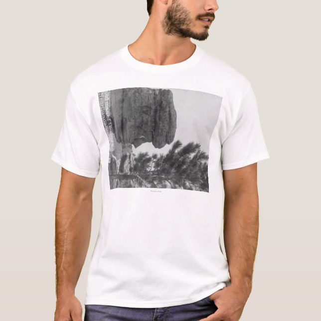 T-shirt "Vieil homme" du parc près de la photographie de (Devant)