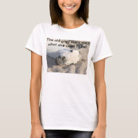 Vieille chemise grise de jument