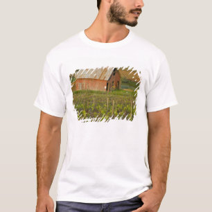 T-shirt Vieille grange rouge au bord du vignoble Zinfandel