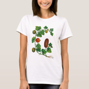 T-shirt Vigne de squash 3