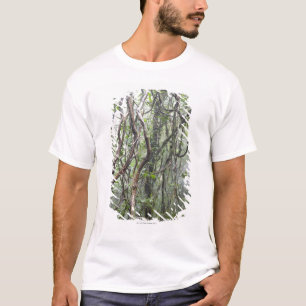 T-shirt vigne et branches tordues dans la forêt tropicale