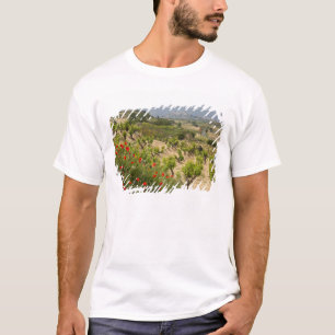 T-shirt Vignobles près de Laguardia, capitale de La Rioja