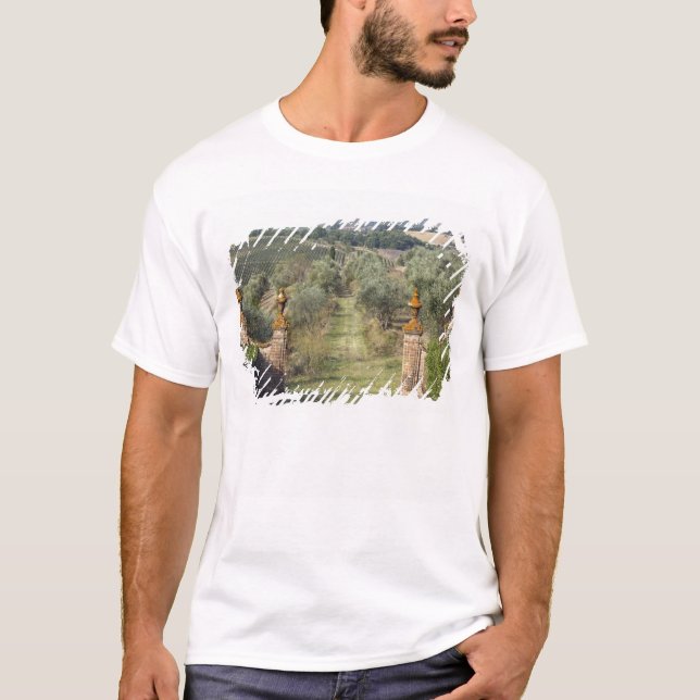 T-shirt Vignobles, Toscane, Italie (Devant)