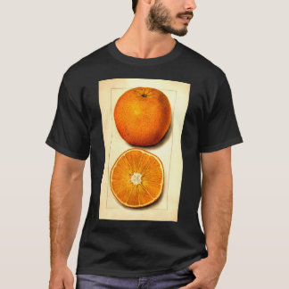 T-shirt Vintage Botanique Navel Orange Aquarelle Fruit