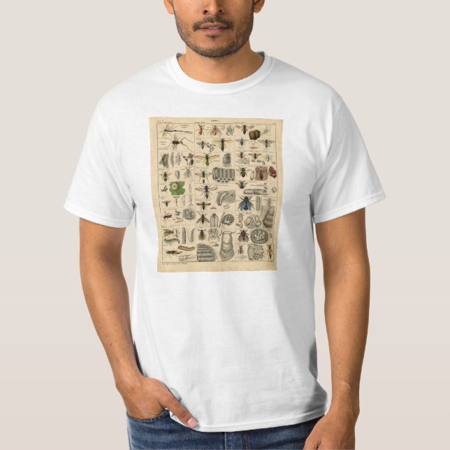 T-shirt vintage de taxonomie d'entomologie (Devant)