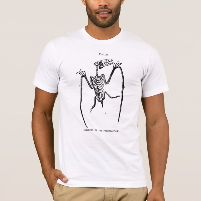 T-shirt vintage Pterodactyl Fossil (Devant)