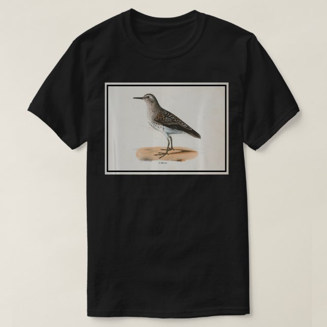 T-shirt Vintage Sandpiper Bird Illustration (1842) queen  (Design devant)