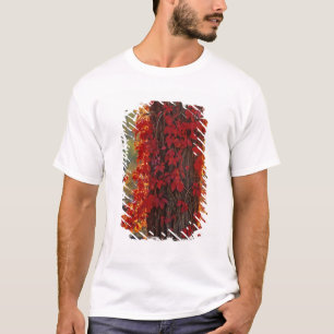 T-shirt Virginia Creeper rouge vif en automne à