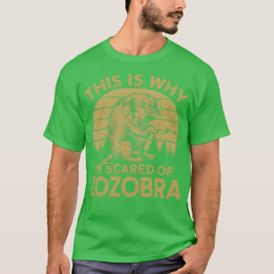 T-shirt Voilà pourquoi j'ai peur de zozobra