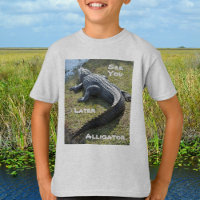Voir plus tard Alligator Everglades Floride