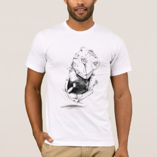 T-shirt vol plané 1