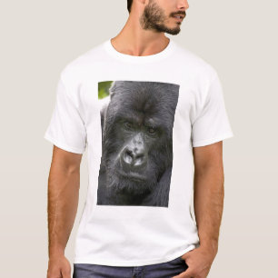 T-shirt Volcanos NP, Rwanda, Gorilles de montagne,