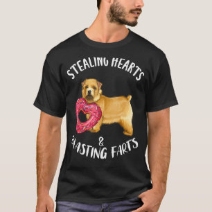 T-shirt Voleur de cœur pets de Norwich Terrier Vale