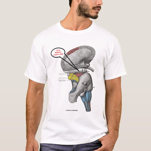 T-shirt Votre mémoire commence ici (l'humour de (Devant)