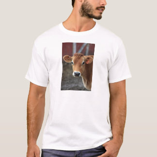 T-shirt Vous ne me pensez pas suis jolie vache du Jersey