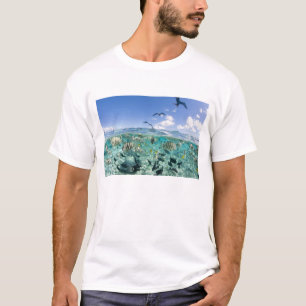 T-shirt voyage safari dans un lagon mettant en vedette des
