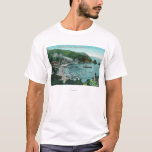 T-shirt Vue aérienne d'Avalon et de baie