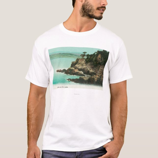 T-shirt Vue aérienne de dôme d'Eagle au point Lobos (Devant)