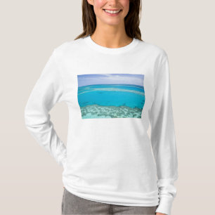 T-shirt Vue aérienne de la Grande Barrière de corail par
