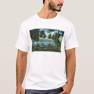 T-shirt Vue Brown de parc de cygne du lac