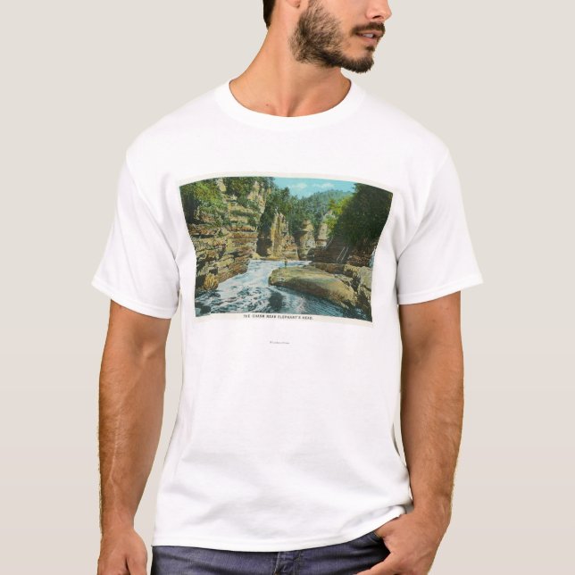 T-shirt Vue d'abîme d'Ausable près de la tête de (Devant)