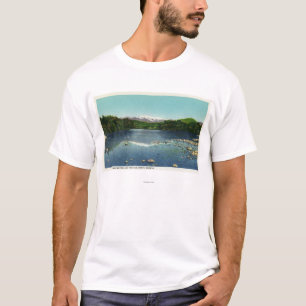 T-shirt Vue de bâti Washington et le Saco