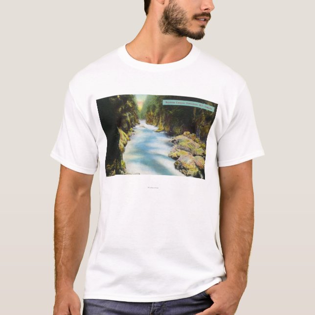 T-shirt Vue de canyon de Seymour (Devant)