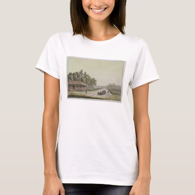 T-shirt Vue de Capitol Hill, Washington (gravure couleur) (Devant)