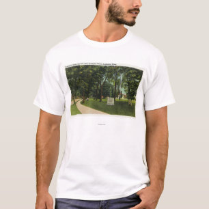 T-shirt Vue de champ de bataille, maintenant vert de