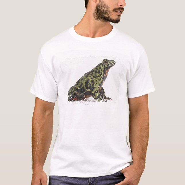T-shirt Vue de côté d'un crapaud gonflé par feu oriental (Devant)