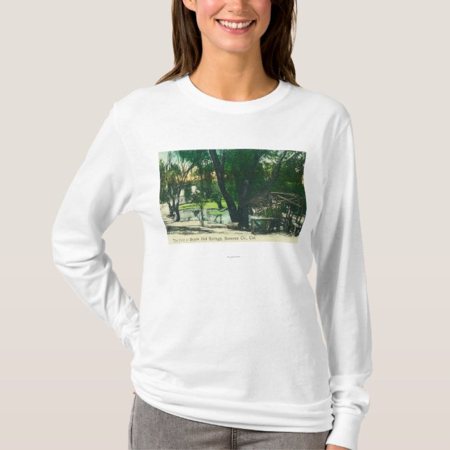 T-shirt Vue de l'étang de Hot Springs (Devant)