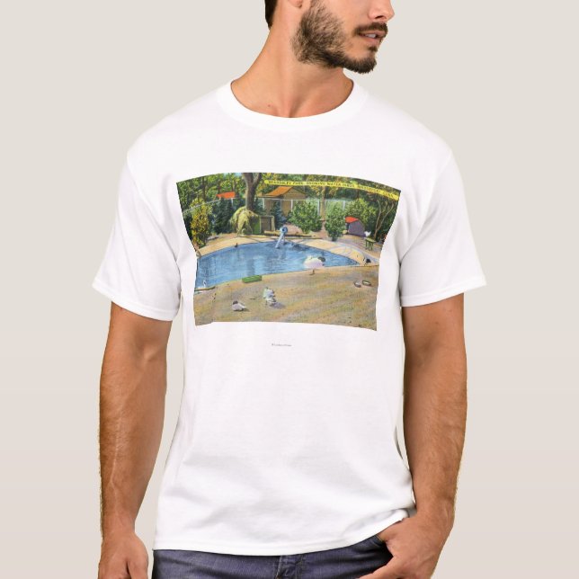 T-shirt Vue de parc de Beardsley de Waterbirds (Devant)