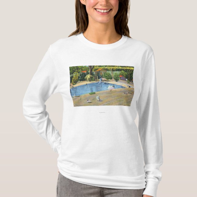 T-shirt Vue de parc de Beardsley de Waterbirds (Devant)