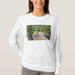 T-shirt Vue de parc de Beardsley du pont en pierre