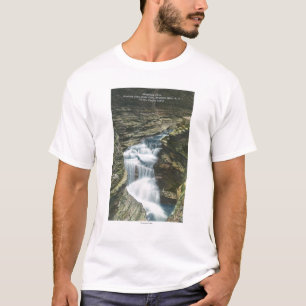 T-shirt Vue de parc d'état des automnes de diamant