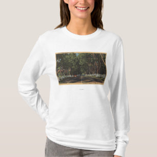 T-shirt Vue d'EL Camino Real des USA 101 de route de