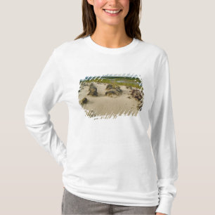 T-shirt Vue depuis le sommet d'une colline sablonneuse sur