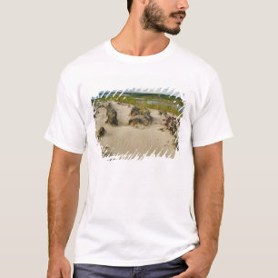 T-shirt Vue depuis le sommet d'une colline sablonneuse sur