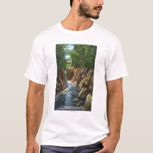 T-shirt Vue des automnes et du pont de rivière d'Ausable