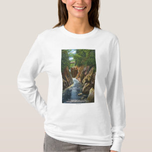 T-shirt Vue des automnes et du pont de rivière d'Ausable