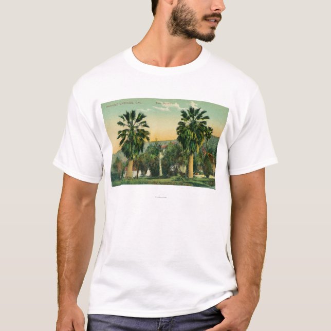 T-shirt Vue des ressorts jumeaux de PalmsParaiso, CA (Devant)