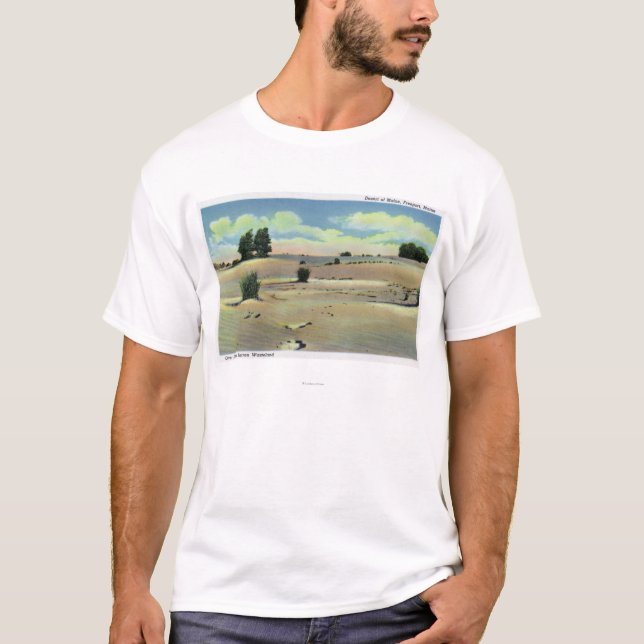 T-shirt Vue du désert du Maine (Devant)