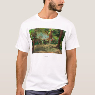 T-shirt Vue d'un car d'étape parmi de grands arbres