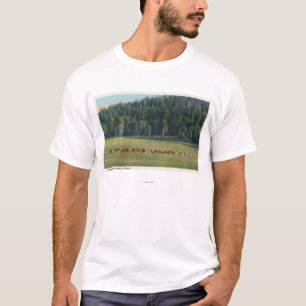 T-shirt Vue d'un paquet de pâturage de cerfs communs