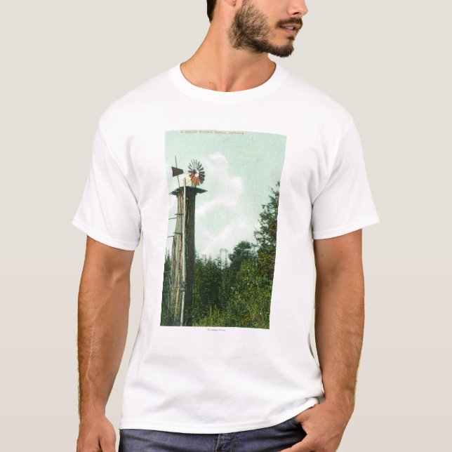 T-shirt Vue d'un vent MillEureka, CA de séquoia (Devant)